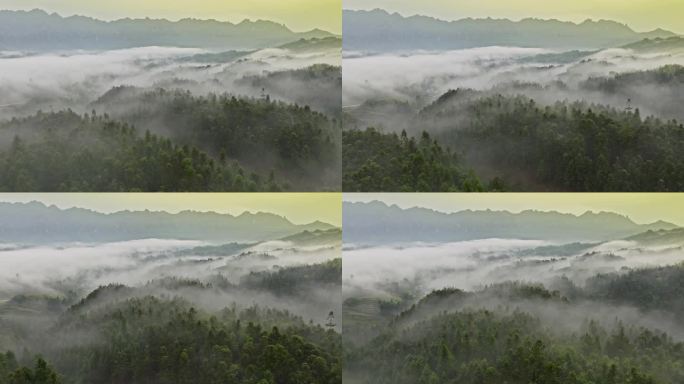 【正版原创实拍】唯美山区云雾雾气晨雾航拍
