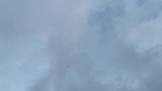 一只鹰在天空中飞得很高。一只大型猛禽在蓝天上飞翔。
