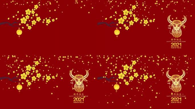 中国新年2021-灯笼和梅花背景。牛年 (中文译名Happy Chinese New Year，牛年