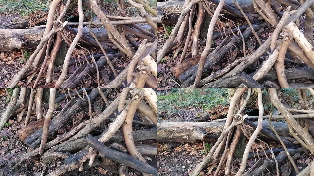树林中的一堆折断的树枝