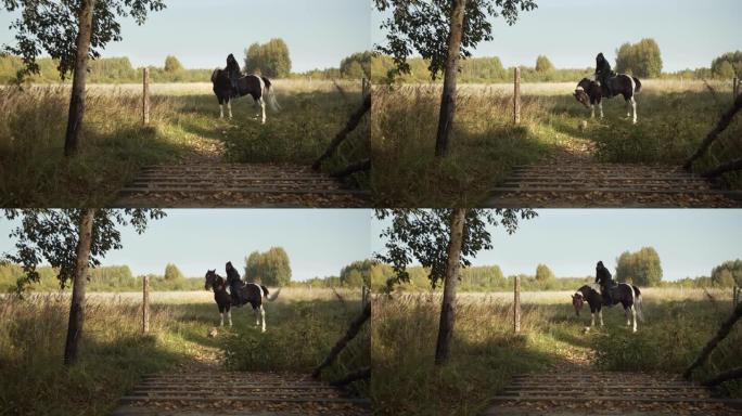 风景优美的镜头，牧场上的乡村风景，一个年轻女孩在经典的美国斑点马的马鞍上，在田野和森林的背景下