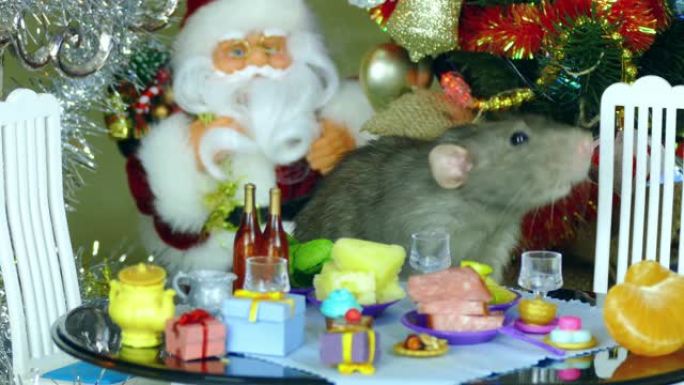 老鼠在新年的节日娃娃桌上