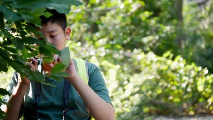 快乐的亚洲男孩在冒险之旅中在森林里使用放大镜。