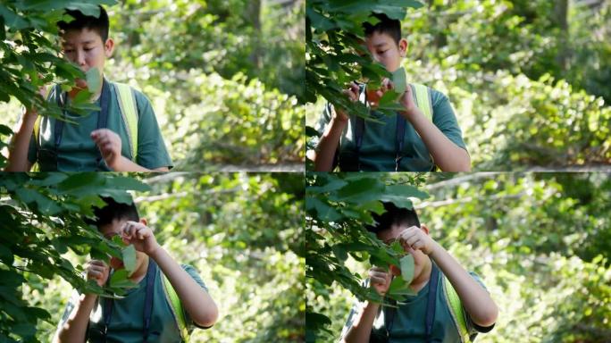 快乐的亚洲男孩在冒险之旅中在森林里使用放大镜。