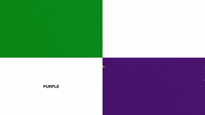 酷过渡视频素材集。绿色和紫色，2种3种图案。6件套。白色背景。
