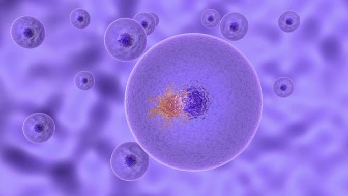 用冠状病毒感染活细胞的过程的3D动画。新型冠状病毒肺炎在活细胞内复制，然后离开人类细胞导致细胞凋亡。