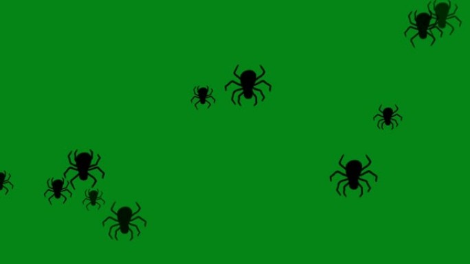 带有绿色屏幕背景的可怕蜘蛛运动图形