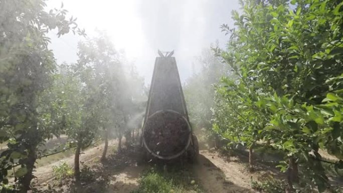 在苹果园中使用化学药品的风扇喷雾器的后视图。