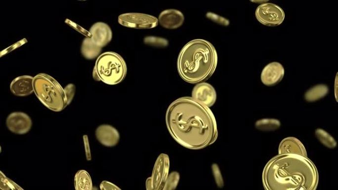 黑色背景上带有美元符号的掉落金币。具有景深的循环3D动画。动画有透明背景