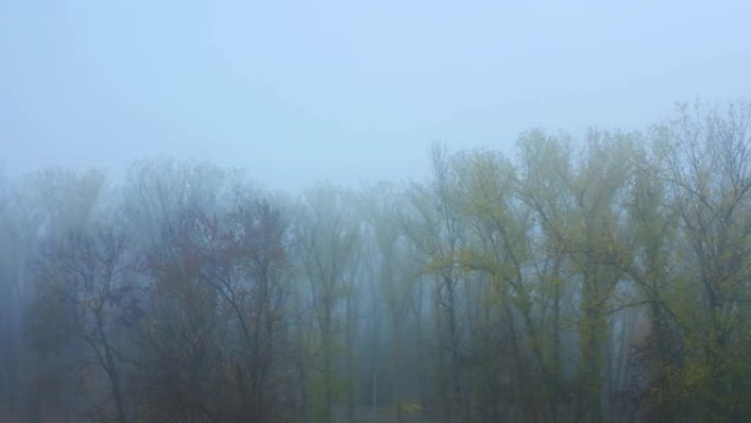 空中无人机视图。神秘的黑雾秋天森林或公园在运动。