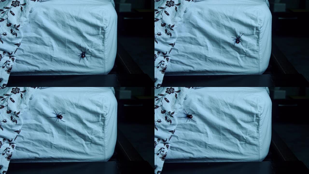 黑寡妇蜘蛛晚上躺在床上快速停车