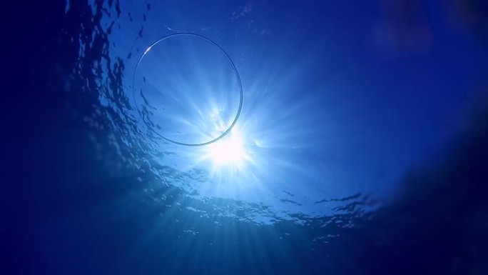 环泡。向海面上升的环形气泡的水下视图
