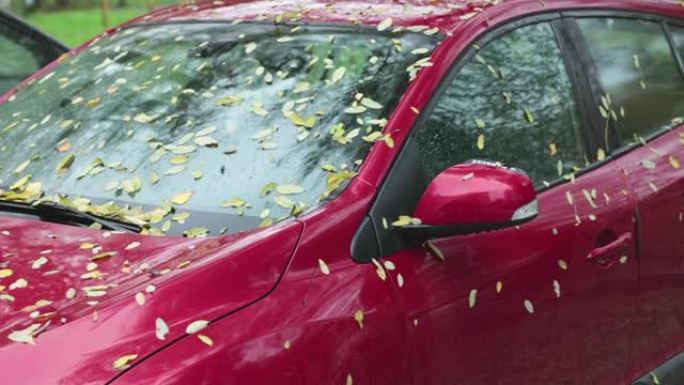 红色的汽车上覆盖着掉落的黄色叶子。