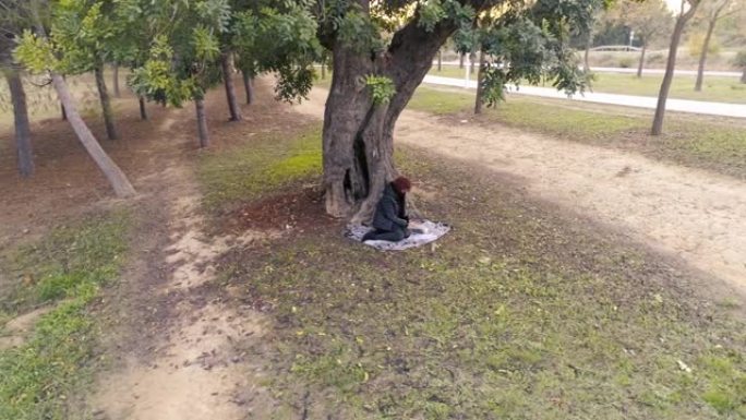 坐在毯子上和树下的女人的无人机的轨道视图