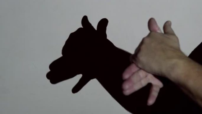 雄性的手在投影仪照明下形成狗的影子。幼儿娱乐剧院