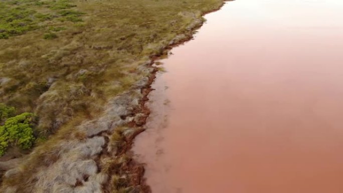 西澳大利亚州的粉红色湖，顶级旅游胜地 (无人机景观)
