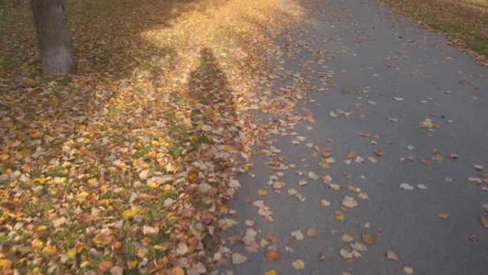 人影在枯叶秋道上移动