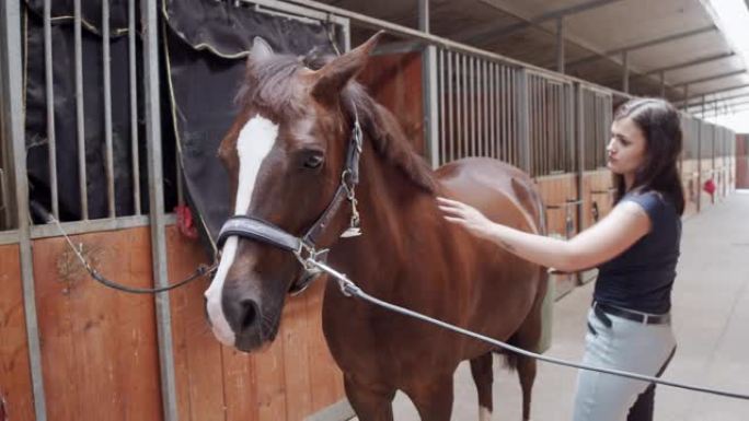 一名年轻成年女子在马stable里刷马时的慢动作视频