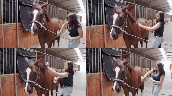 一名年轻成年女子在马stable里刷马时的慢动作视频