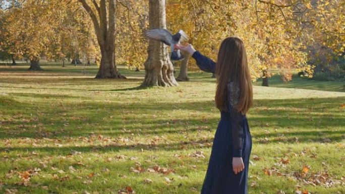 在4k的金秋期间，一个穿着裙子的美丽女孩在公园里喂鸽子。