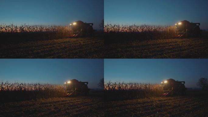 晚上在玉米田上工作的收割机