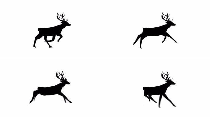 驯鹿黑色剪影在白色背景下运行的数字动画