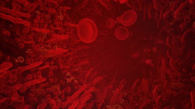 人体动脉中的红细胞。在生物体的血管中飞行。医疗，科学，医疗保健或生物学背景的循环动画。
