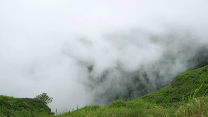 热带山区草崖上流淌的强风和雾