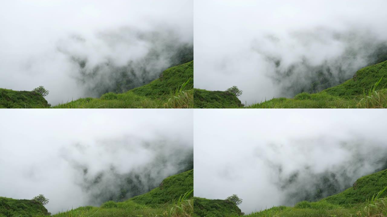 热带山区草崖上流淌的强风和雾
