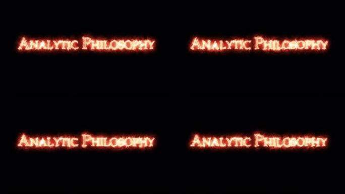 用火写的分析哲学。循环