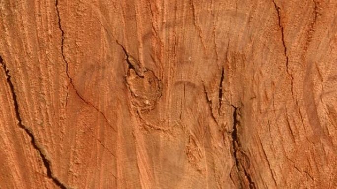 棕色胶合板木质表面。复古松木硬木背景。植物树皮粗糙树干的古老风化天然木材质地。旧废墟破裂褪色纹理效果