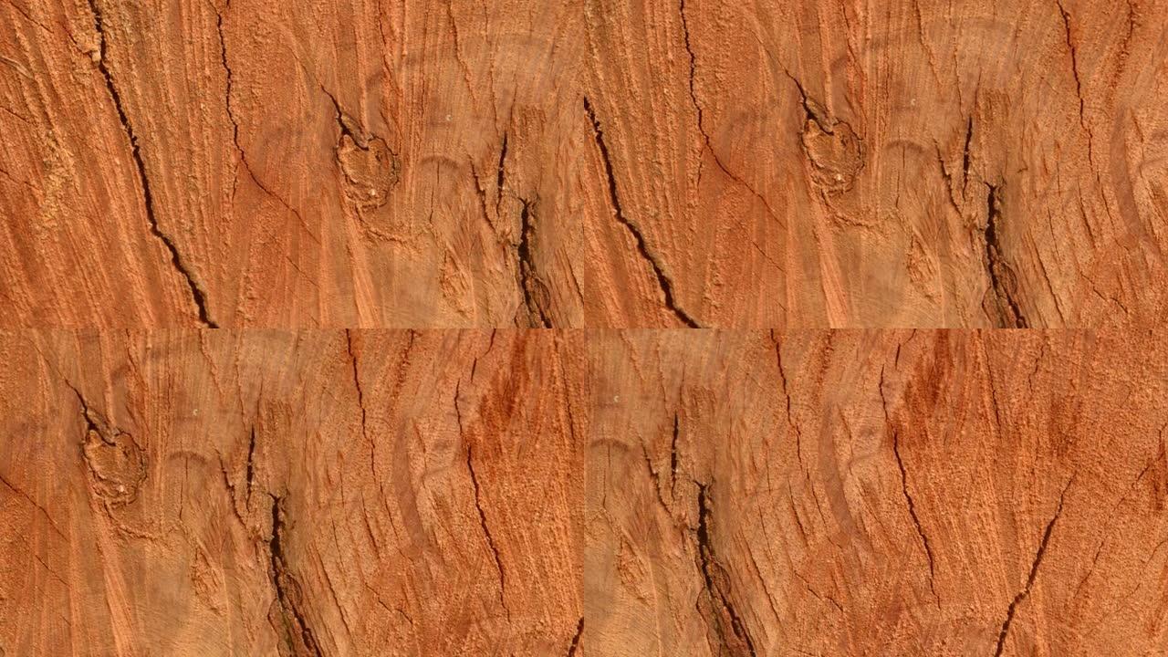 棕色胶合板木质表面。复古松木硬木背景。植物树皮粗糙树干的古老风化天然木材质地。旧废墟破裂褪色纹理效果