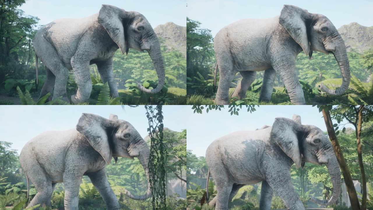 一只大型非洲象在阳光明媚的日子里穿过野生丛林。动物动画，自然和教育背景。看看非洲丛林。