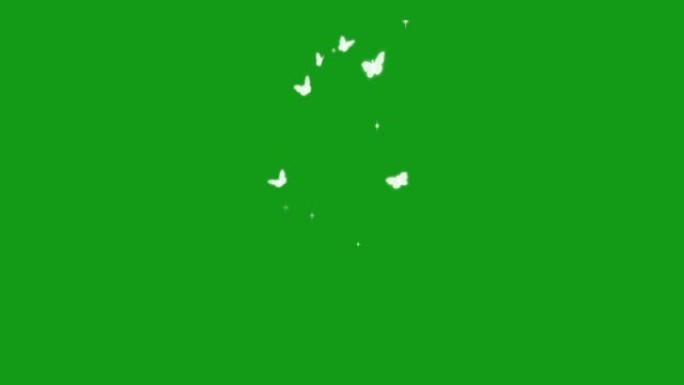 绿色屏幕背景的飞蝶运动图形