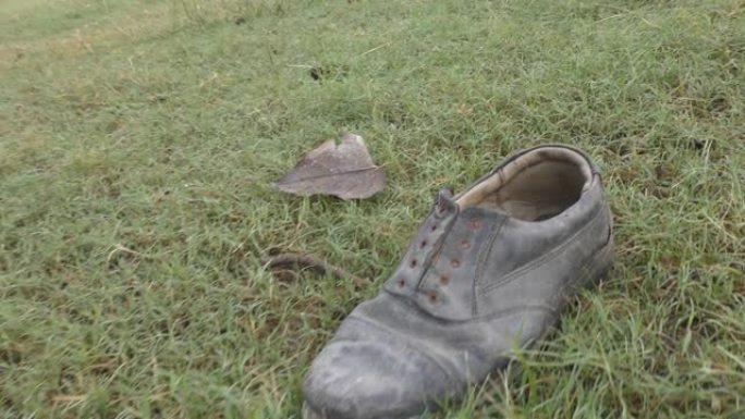 一只穿在草地上的鞋，并在它周围展示
