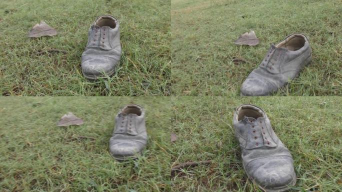 一只穿在草地上的鞋，并在它周围展示