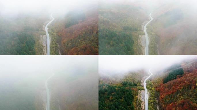 秋季天线过度失误。空中公路旅行在雾中蜿蜒的山路上，汽车在秋天经过五颜六色的森林。