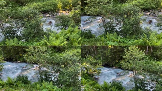 野生山溪河流空镜水流特写地下水源