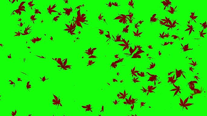 秋天枫叶粒子动画