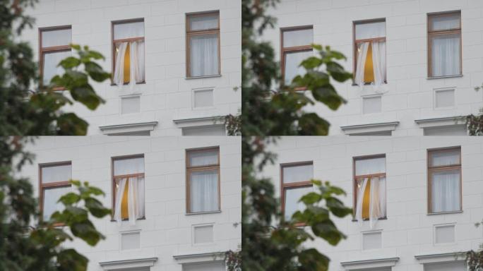 打开了乌克兰政府的窗口。监视和监视乌克兰总统办公室的窗户。绯闻、丑闻、政治