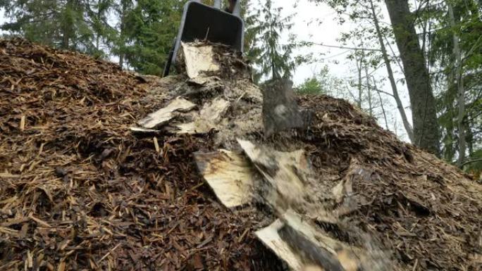 扔掉爱沙尼亚的木屑和树干皮