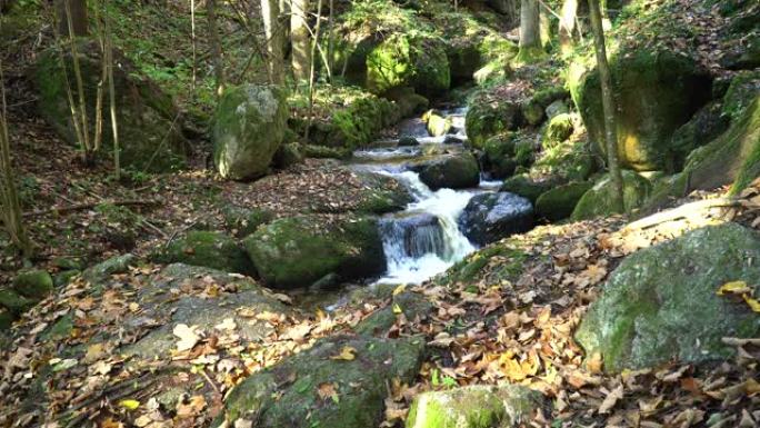 秋天的森林溪流溪水溪流小河