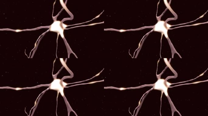 孤立的单个神经细胞传递电信号