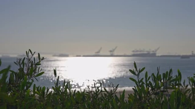 加州晴朗的晴天。美国长滩货运港口景观。阳光照耀着海洋的桦树水。