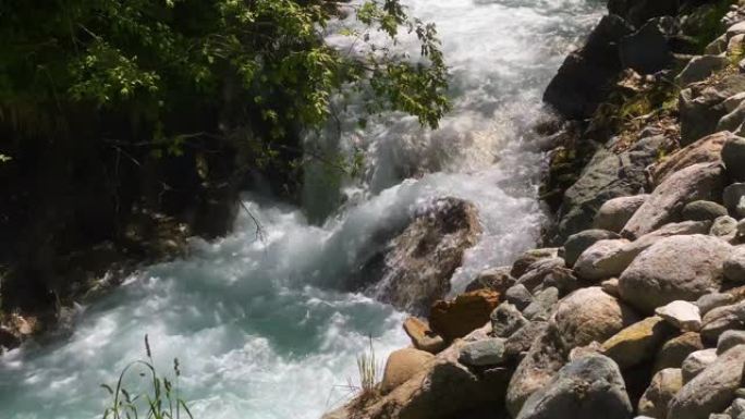 野生山溪绿色生态环境大自然美景