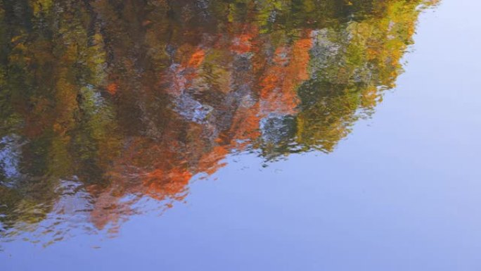秋树和蓝天反射在水面上