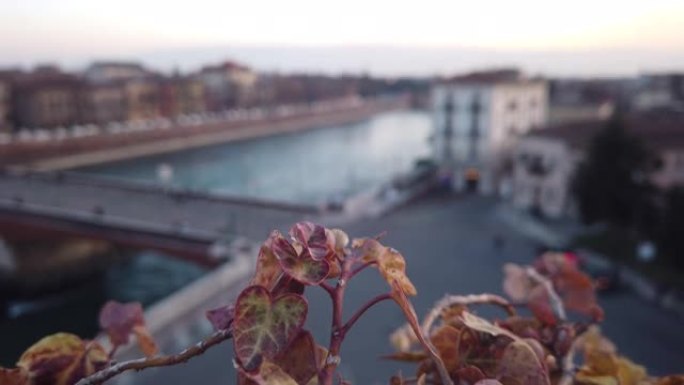 意大利维罗纳城市带河桥的日落屋顶景观