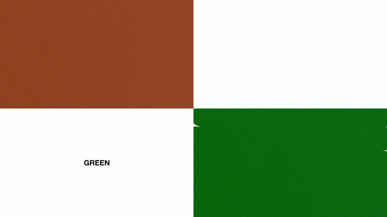 酷过渡视频素材集。棕色和绿色，2种3种图案。6件套。白色背景。