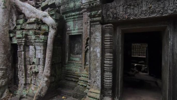 柬埔寨暹粒的Prasat Ta prohm寺