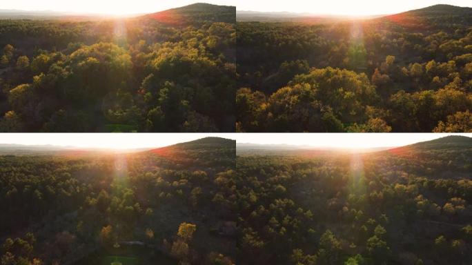 日落时斯洛文尼亚喀斯特森林的鸟瞰图